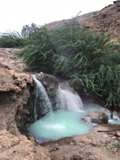 طبیعت زیبا