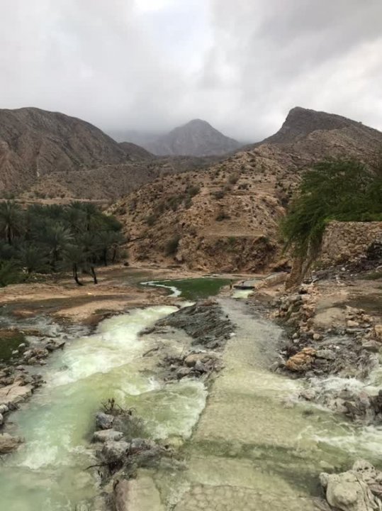 طبیعت زیبا