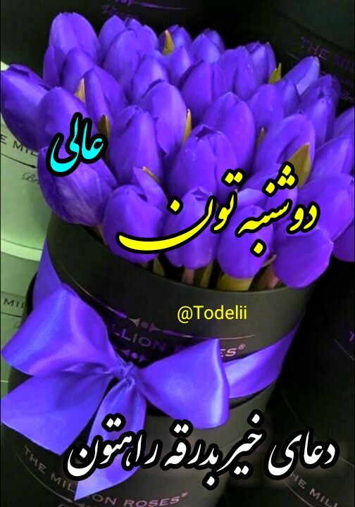 خواندنی های جالب1